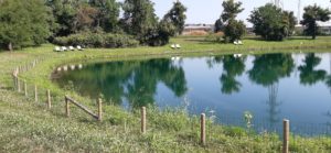 Il nuovo nome del Parco è…